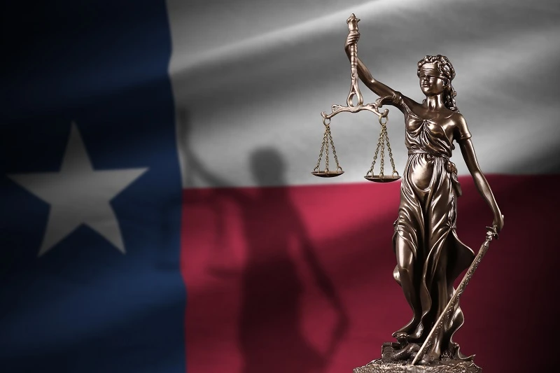 Public Defender Versus Private Attorney Real Differences in Outcomes